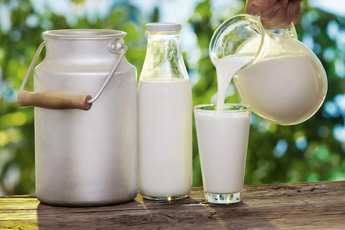 تصویر 2 از خرید دوغ عالیس + قیمت فروش استثنایی
